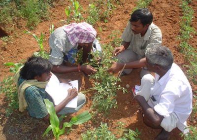 Promoting Livelihood Improvements in Dryland Farming on the Deccan Plateau