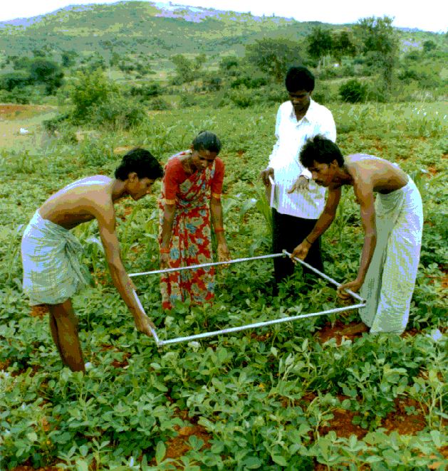 Developing Integrated Farming Systems (IFS) in KAWAD Watersheds (2002-05)
