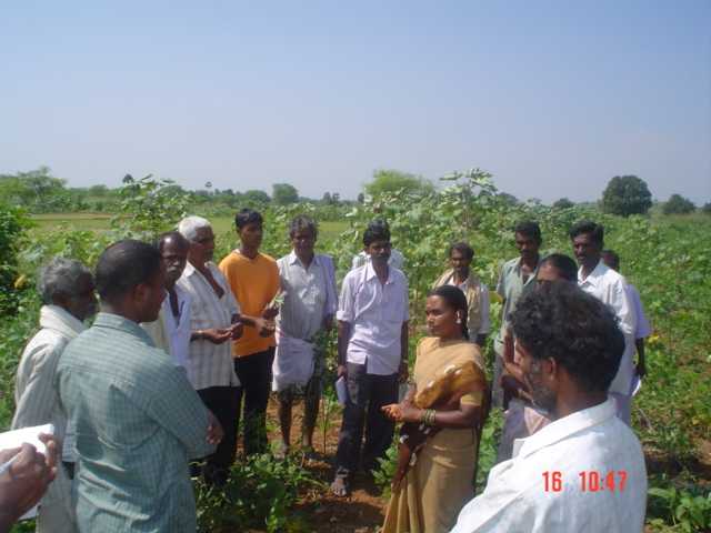 Changing farming practices- PTD shows the way