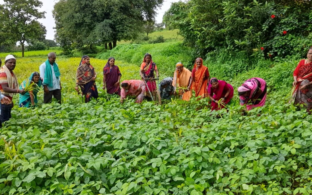 Educating and Guiding Farmers to practice Sustainable Agriculture